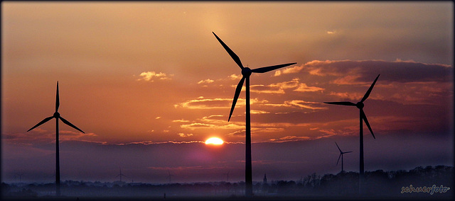 Sonnenuntergang in Issum, Niederrhein