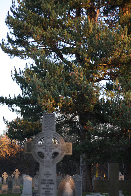 Warriston Cemetery