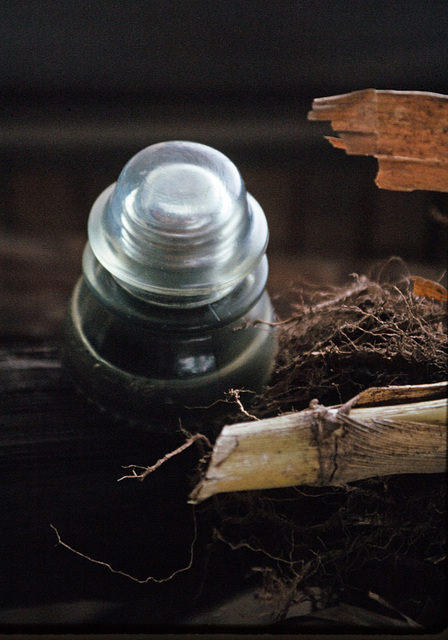 Glass Insulator (1)