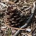 20140911 5185VRAw [NL] Terschelling