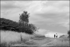 Un jour d'été