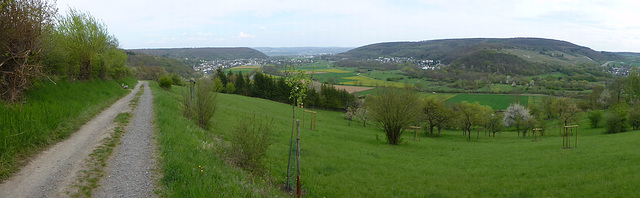 Orchideenwiese bei Lohrsdorf