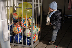 2008-12-30-12h12m46DSC 8159