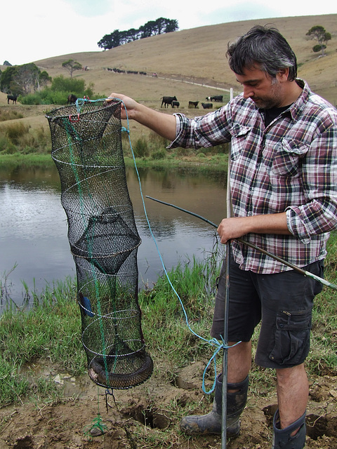 catching eels at Pauline & David's