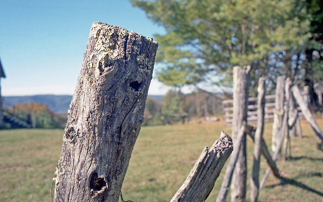 The Old Fence