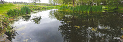 Pond weed-clearing in operation