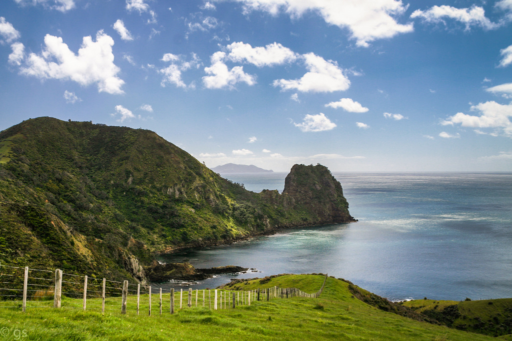 Coromandel Walkway