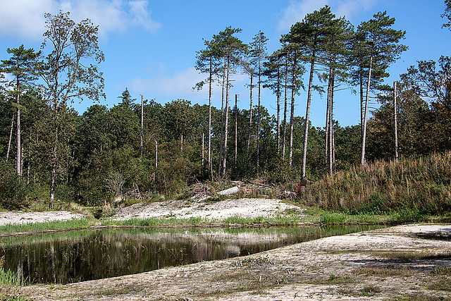 20140911 5184VRAw [NL] Terschelling