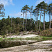 20140911 5184VRAw [NL] Terschelling