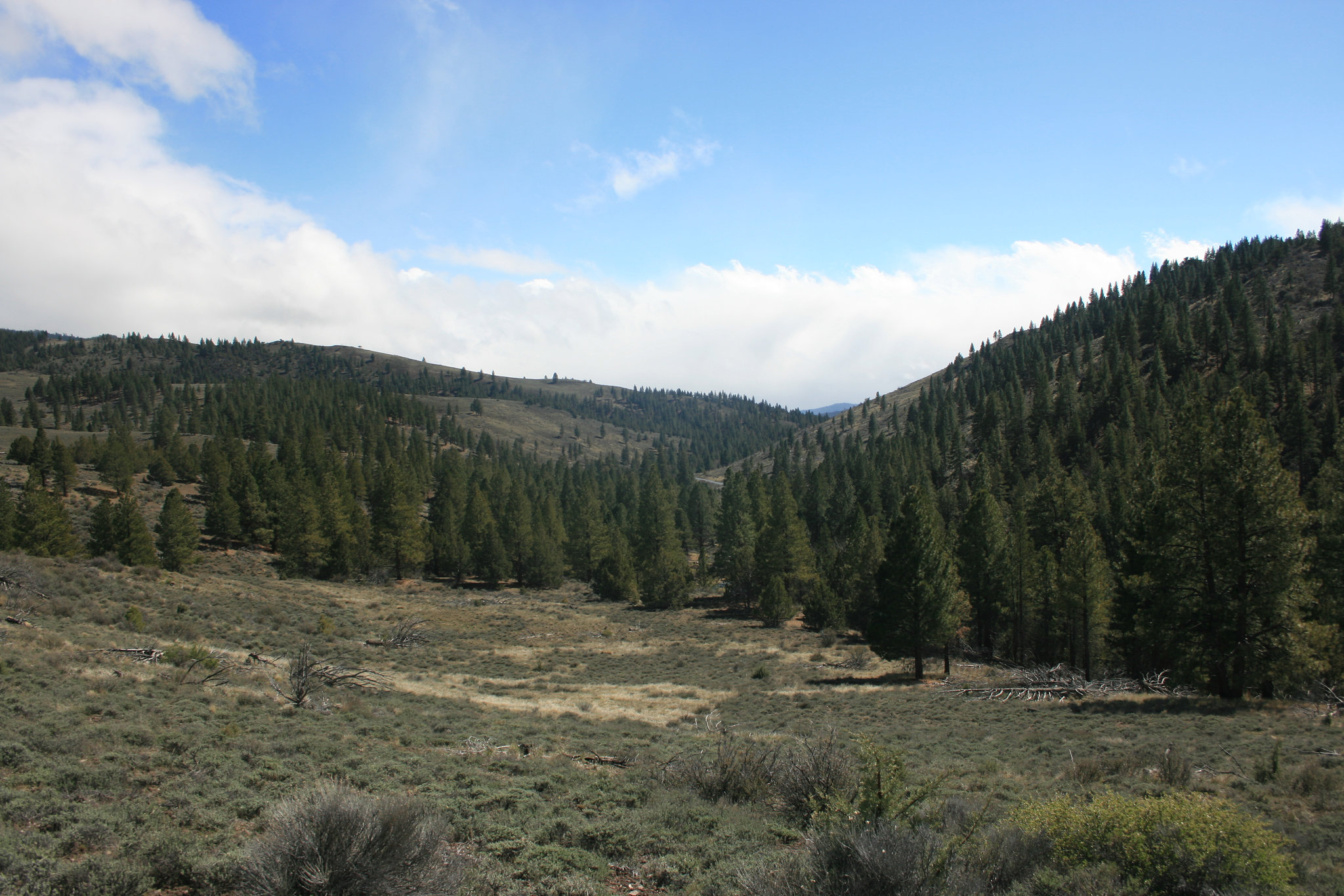 IMG 7838
