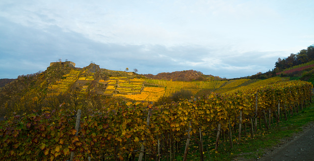 Mayschoß - Eifel