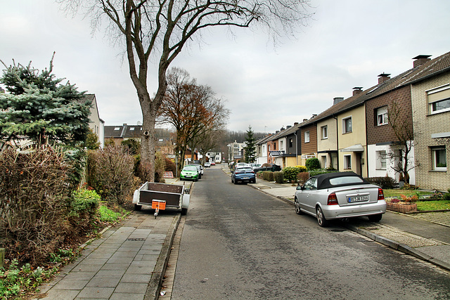 Zollvereinstraße (Marl-Hamm) / 12.12.2018