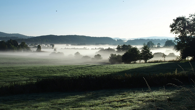 Brume d'été (2)