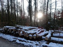 Licht in dunklen Zeiten im Januar 2021