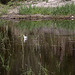 20140911 5183VRAw [NL] Terschelling