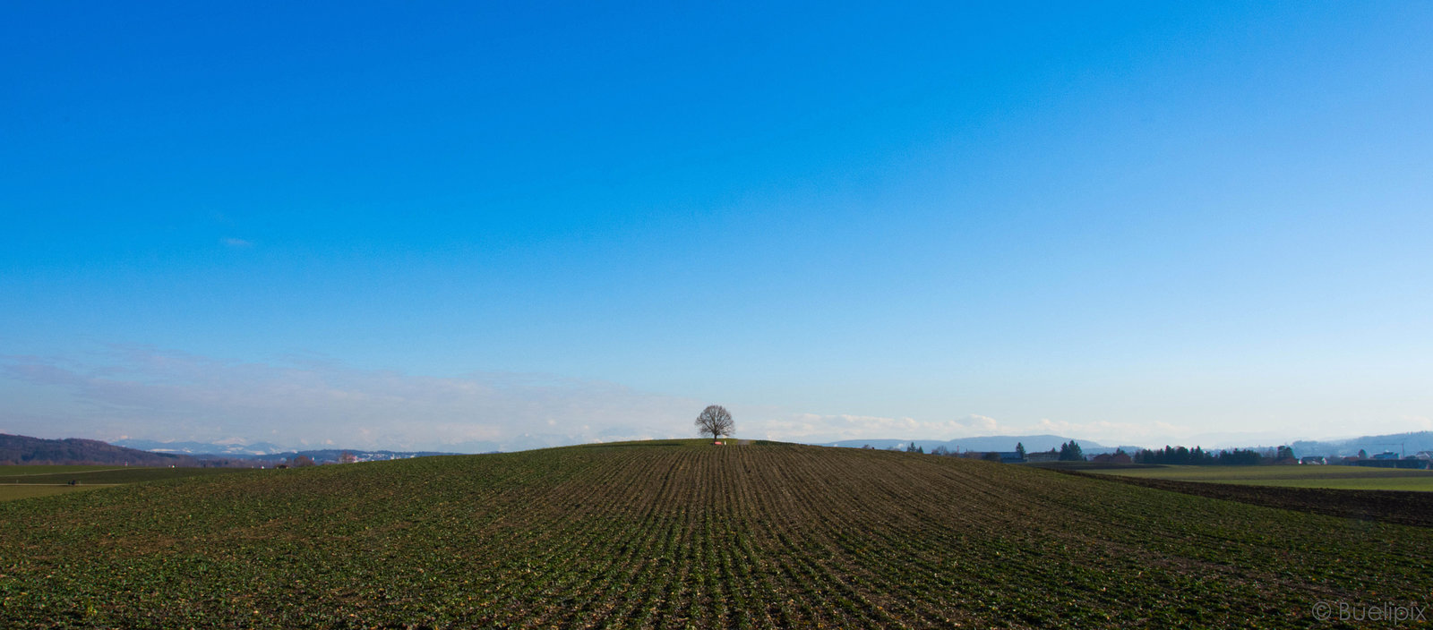 in der Anflugschneise des Flughafens Zürich-Kloten (© Buelipix)