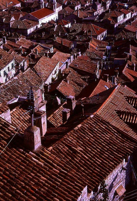 ... les toits de Dubrovnik ...