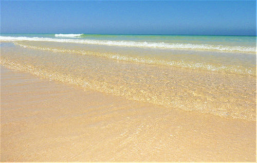 Comporta  - Arrábida