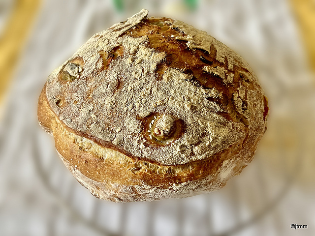 Mixed Olives sourdough