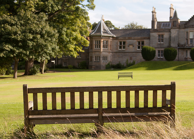 The croquet bleachers