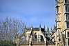 Batalha VIII