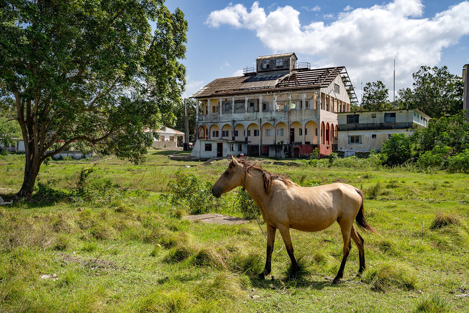 Cayo Mambí