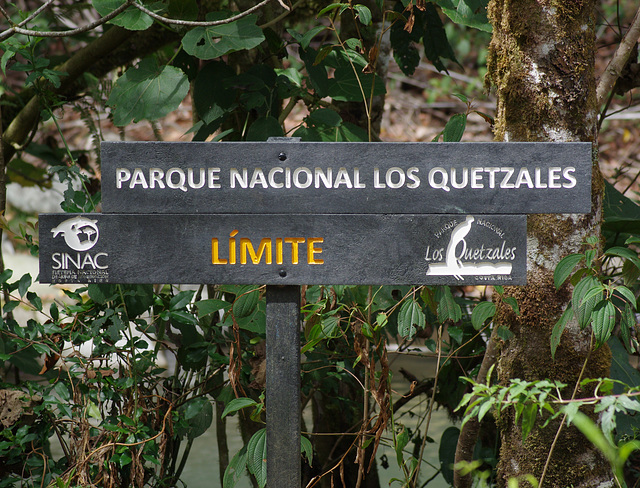 Parque Nacional los Quetzales