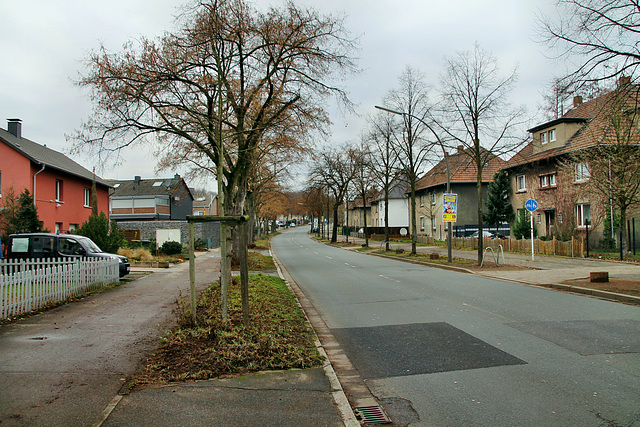 Carl-Duisberg-Straße (Marl-Hamm) / 12.12.2018