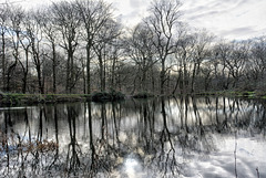 Reflections on a Winters lake