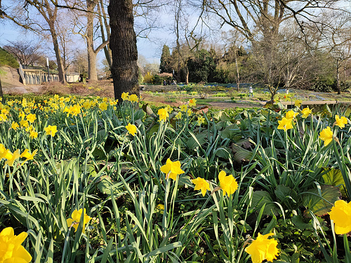 Planten und Blomen 17.04.2021