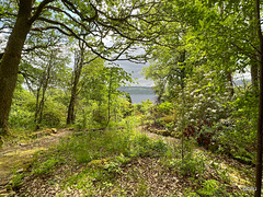 Abriachan, Loch Ness