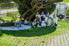 Garten des Grauens