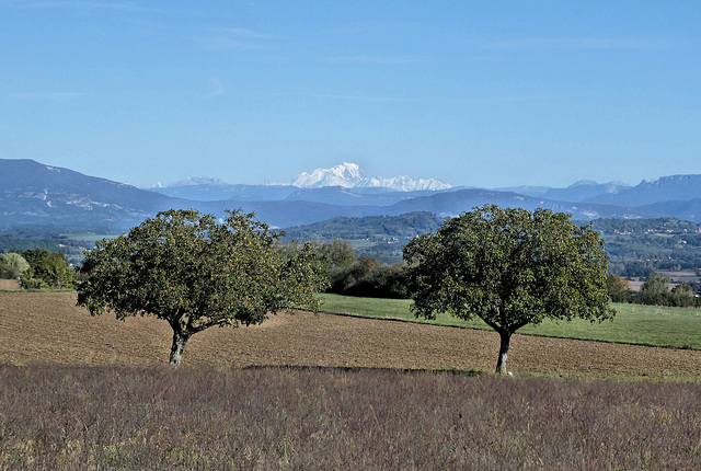 Saint-Hilaire-de-Brens (38) 16 octobre 2019. Vue sur le Mont-Blanc.