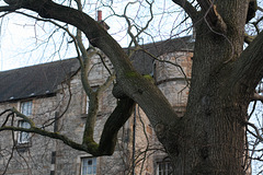 Greyfriars Kirkyard