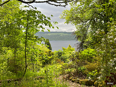 Abriachan, Loch Ness