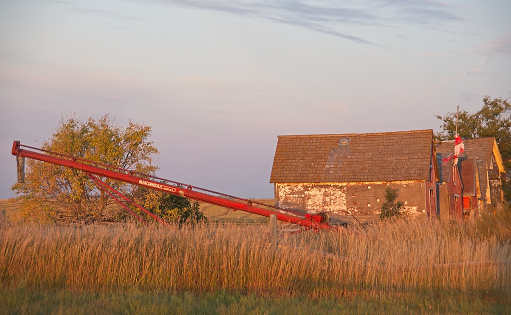 red and white auger