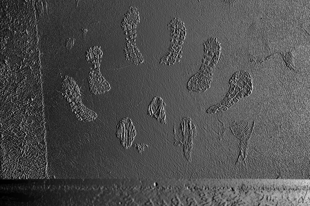 footprints 2