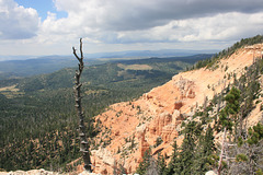 IMG 0410