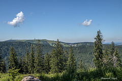 Blick zum Feldberg im Schwarzwald