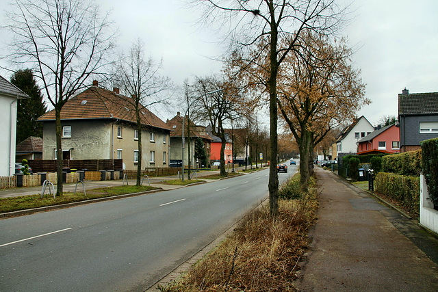 Carl-Duisberg-Straße (Marl-Hamm) / 12.12.2018