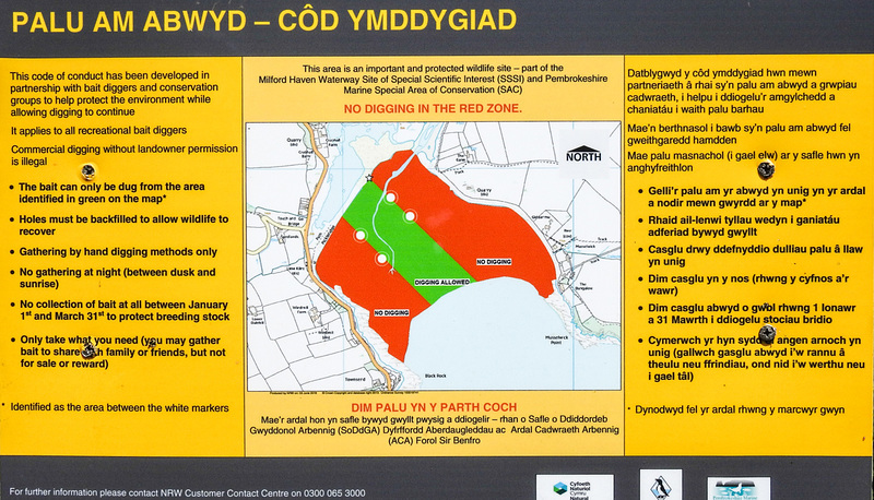 20190609 4887CPw [R~GB] Wales