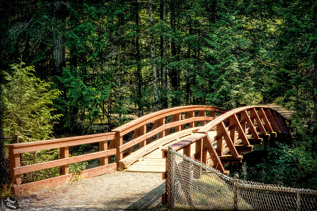 Bridge over Englishman River Falls (Set 2 of 2) and Happy Fence Friday! (+6 insets!)