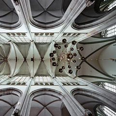 Blick nach oben... (1 PiP = ...zur großen Orgel) - Dom,  Utrecht
