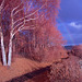 Dumbarton Foreshore Rainbow - IRChrome