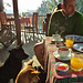 breakfast with the hotel dogs