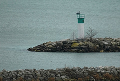 new harbour light