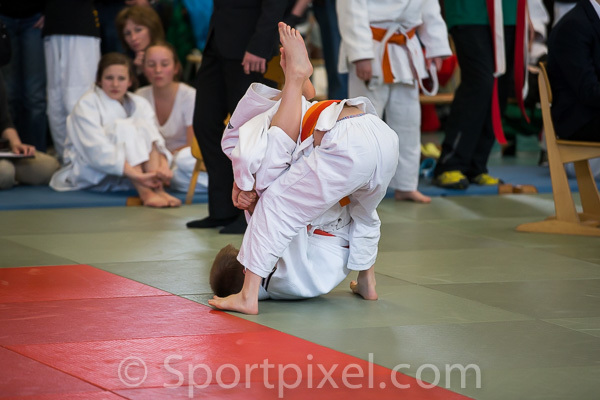 oster-judo-1638 17170084811 o