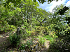 Abriachan, Loch Ness