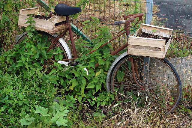 L'occasion du mois , vélo écolo avec panier et top case . Faire offre