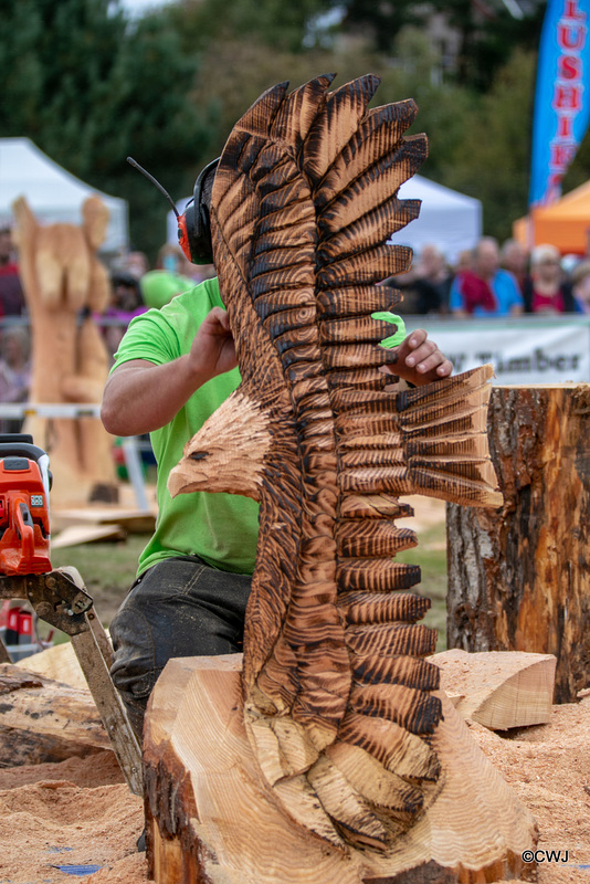 The Carrbridge World Chainsaw Carving Championship 2018